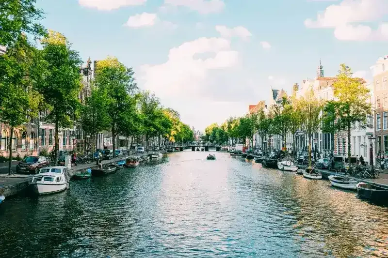 Study in the Netherlands - Study abroad destination background