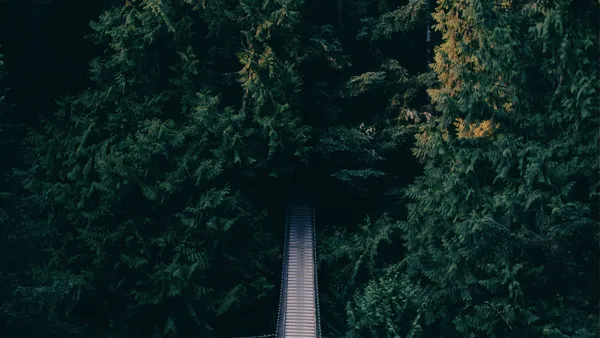 أفضل المدن الطلابية في هولندا 2026