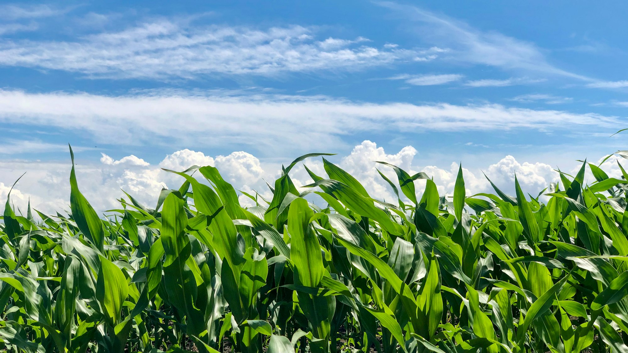 Iowa, USA