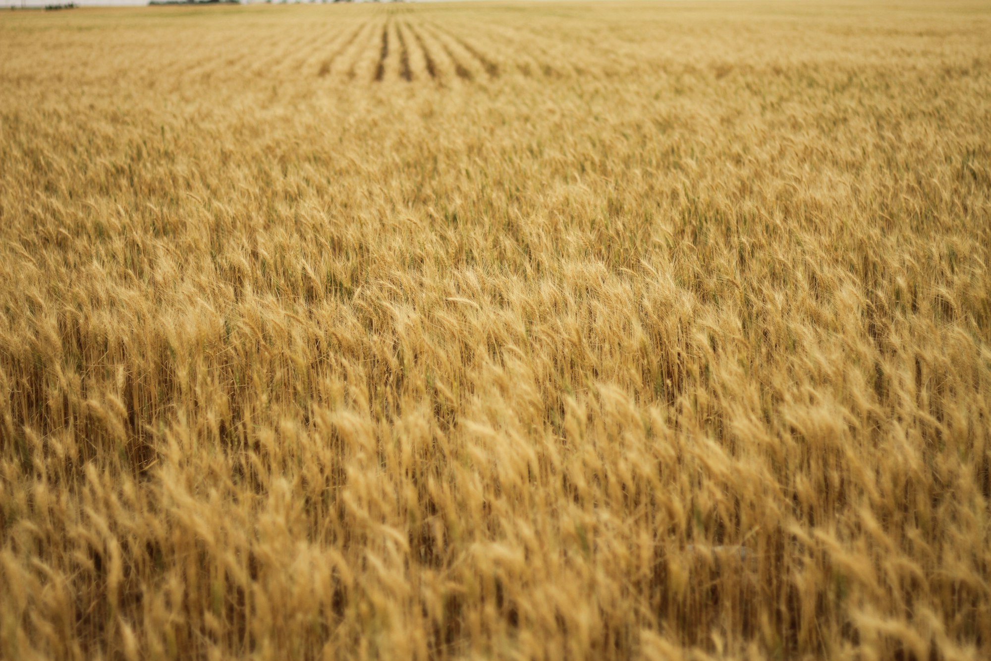 Kansas, USA