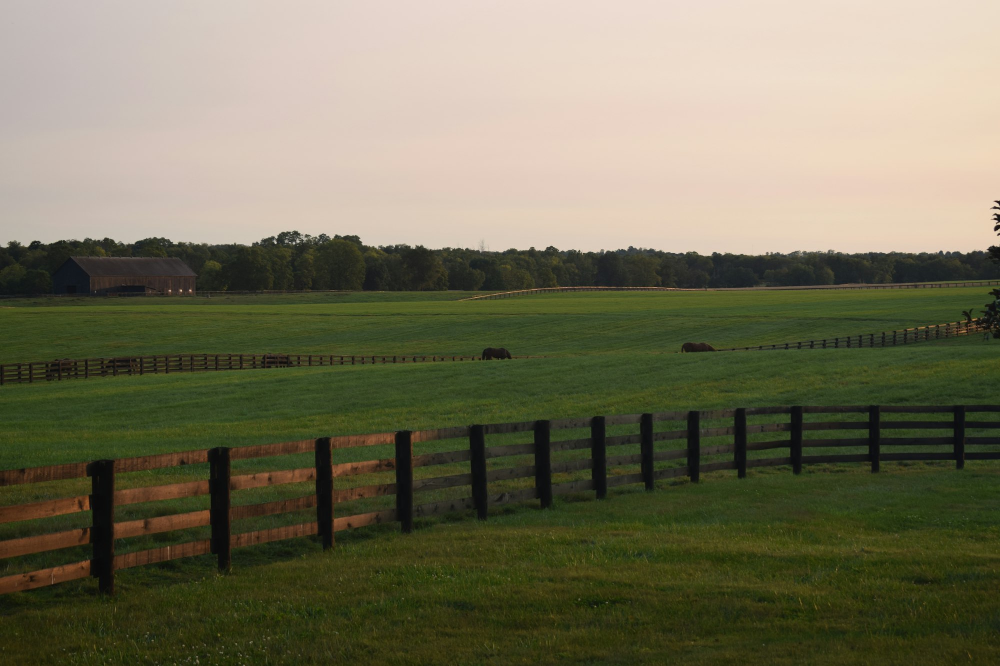 Kentucky, USA