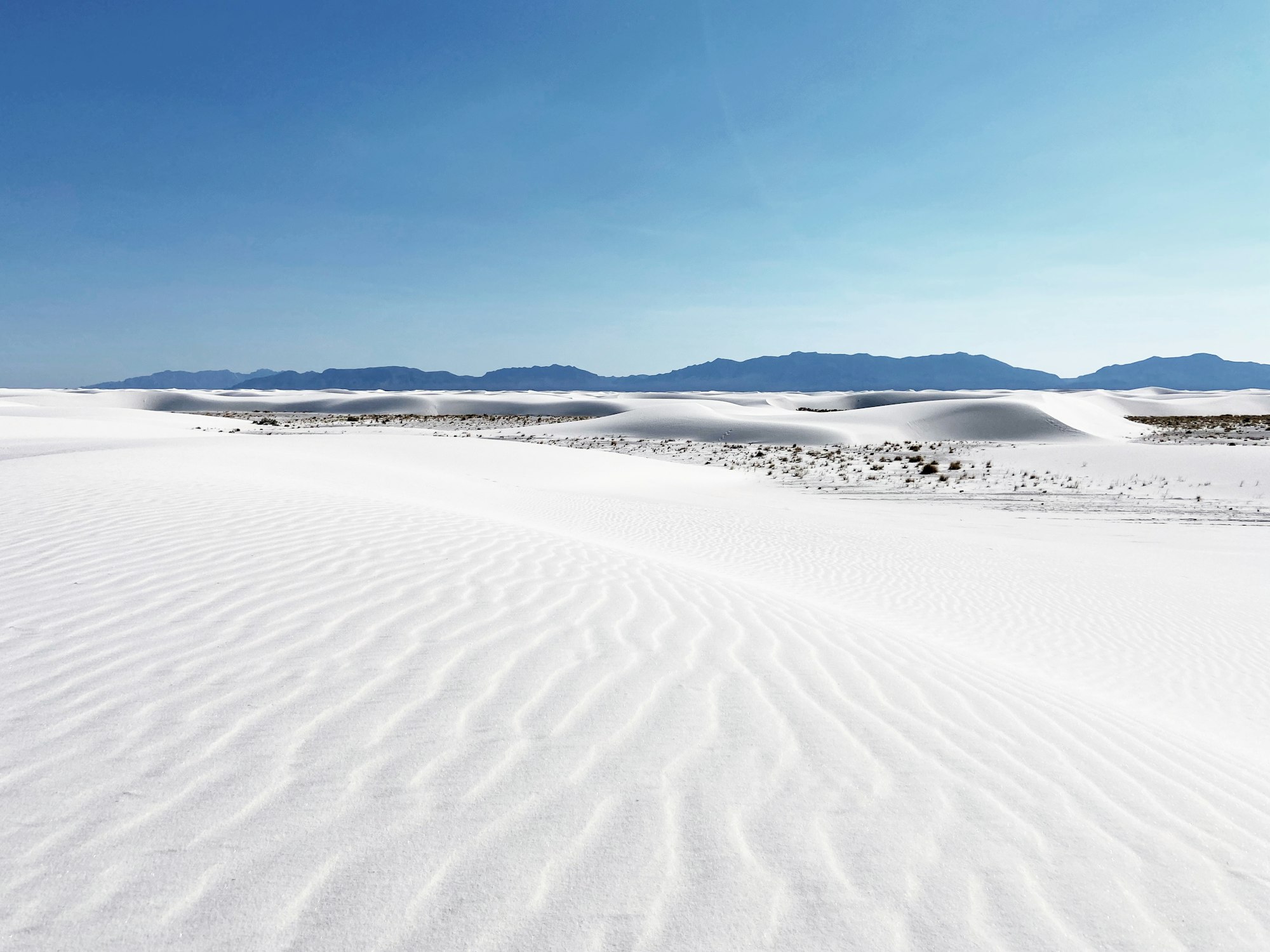 New Mexico, USA