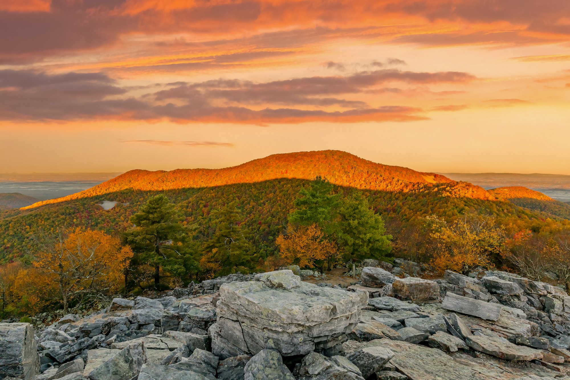 Virginia, USA